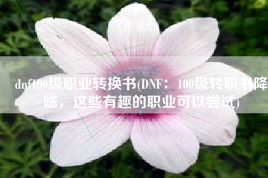 dnf100级职业转换书(DNF：100级转职书降临，这些有趣的职业可以尝试)