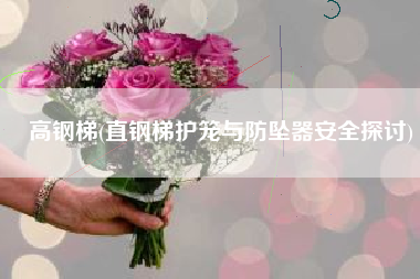 高钢梯(直钢梯护笼与防坠器安全探讨)