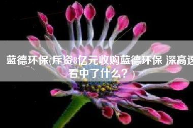 蓝德环保(斥资8亿元收购蓝德环保 深高速看中了什么？)