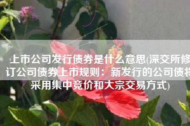上市公司发行债券是什么意思(深交所修订公司债券上市规则：新发行的公司债将采用集中竞价和大宗交易方式)