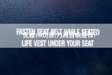 优雅100功放(力高音响推荐)