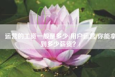 运营的工资一般是多少(用户运营/你能拿到多少薪资？)