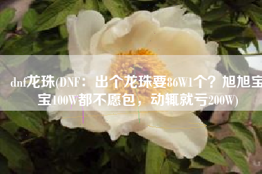 dnf龙珠(DNF：出个龙珠要86W1个？旭旭宝宝100W都不愿包，动辄就亏200W)