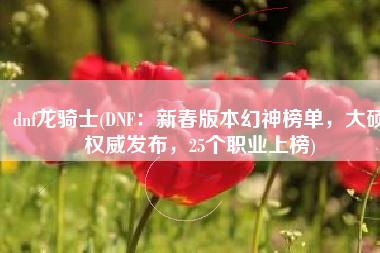 dnf龙骑士(DNF：新春版本幻神榜单，大硕权威发布，25个职业上榜)