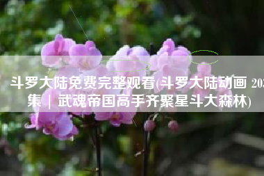 斗罗大陆免费完整观看(斗罗大陆动画 203集 | 武魂帝国高手齐聚星斗大森林)