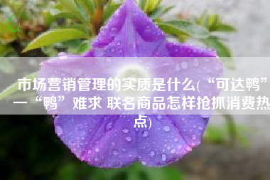 市场营销管理的实质是什么(“可达鸭”一“鸭”难求 联名商品怎样抢抓消费热点)