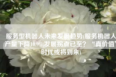 服务型机器人未来发展趋势(服务机器人产量下降10.9%,发展拐点已至？“真价值”时代或将到来)