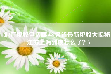 地方税收包括哪些(各省最新税收大揭秘：江苏上海到底怎么了？)