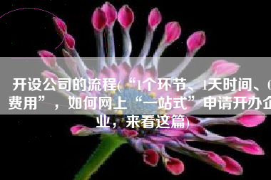 开设公司的流程(“1个环节、1天时间、0费用”，如何网上“一站式”申请开办企业，来看这篇)