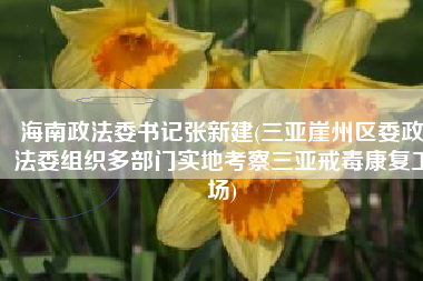 海南政法委书记张新建(三亚崖州区委政法委组织多部门实地考察三亚戒毒康复工场)