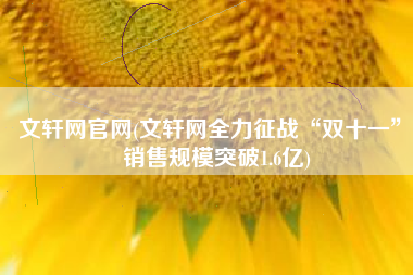 文轩网官网(文轩网全力征战“双十一”,销售规模突破1.6亿)