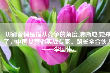 切割营销是指从竞争的角度,清晰地(她来了，中国女营销实战专家、路长全合伙人——李国伟)