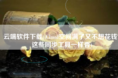 云端软件下载(iCloud空间满了又不想花钱？这些同步工具一样香)