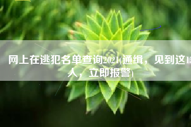 网上在逃犯名单查询2021(通缉，见到这15人，立即报警)