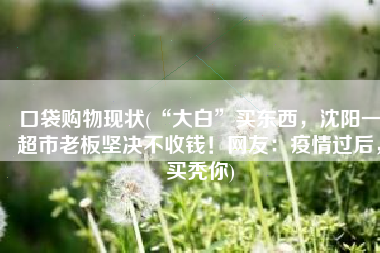 口袋购物现状(“大白”买东西，沈阳一超市老板坚决不收钱！网友：疫情过后，买秃你)