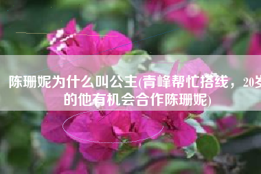 陈珊妮为什么叫公主(青峰帮忙搭线，20岁的他有机会合作陈珊妮)