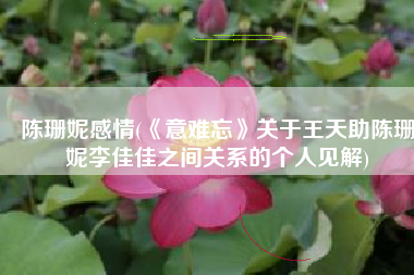 陈珊妮感情(《意难忘》关于王天助陈珊妮李佳佳之间关系的个人见解)