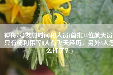 神舟7号发射时间和人员(首批14位航天员，只有杨利伟等8人有飞天经历，另外6人怎么样了？)