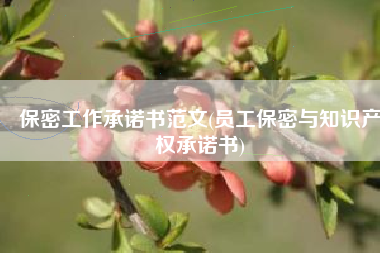 保密工作承诺书范文(员工保密与知识产权承诺书)