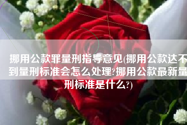 挪用公款罪量刑指导意见(挪用公款达不到量刑标准会怎么处理?挪用公款最新量刑标准是什么?)