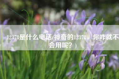 12378是什么电话(神奇的12378，你咋就不会用呢？)