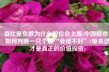 委比是负数为什么股价会上涨(中国股市：如何判断一只个股“业绩不好”?原来这才是真正的价值投资)