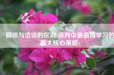 商谈与洽谈的区别(谈判中最值得学习的两大核心策略)