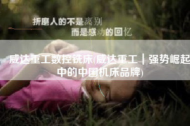 威达重工数控铣床(威达重工｜强势崛起中的中国机床品牌)