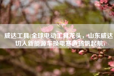 威达工具(全球电动工具龙头，山东威达：切入新能源车换电赛道扬帆起航)