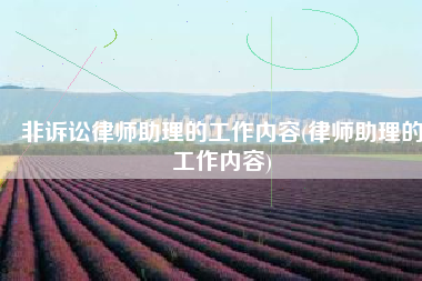 非诉讼律师助理的工作内容(律师助理的工作内容)