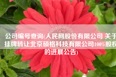 公司编号查询(人民网股份有限公司 关于挂牌转让北京硕格科技有限公司100%股权的进展公告)