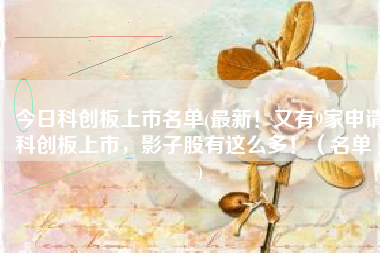 今日科创板上市名单(最新！又有9家申请科创板上市，影子股有这么多！（名单）)