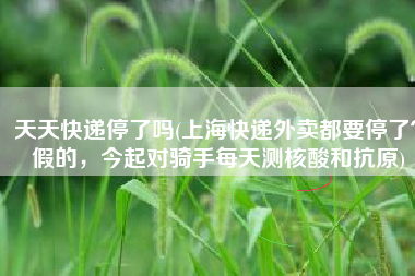 天天快递停了吗(上海快递外卖都要停了？假的，今起对骑手每天测核酸和抗原)