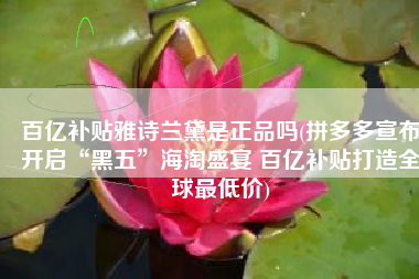 百亿补贴雅诗兰黛是正品吗(拼多多宣布开启“黑五”海淘盛宴 百亿补贴打造全球最低价)