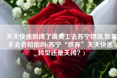 天天快递倒闭了调员工去苏宁物流,如果不去会赔偿吗(苏宁“放弃”天天快递：转型还是关闭？)