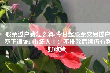 股票过户费怎么算(今日起股票交易过户费下调50% 市场人士：不排除后续仍有利好政策)