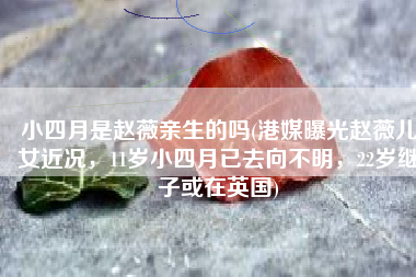 小四月是赵薇亲生的吗(港媒曝光赵薇儿女近况，11岁小四月已去向不明，22岁继子或在英国)