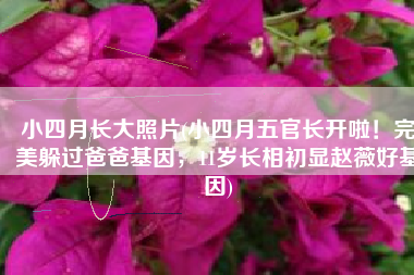 小四月长大照片(小四月五官长开啦！完美躲过爸爸基因，11岁长相初显赵薇好基因)