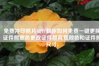 免费冲印照片APP(教你如何免费一键更换证件照底色更改证件照背景颜色和证件照尺寸)