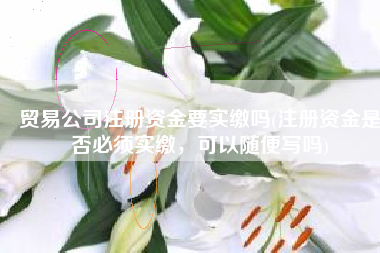 贸易公司注册资金要实缴吗(注册资金是否必须实缴，可以随便写吗)