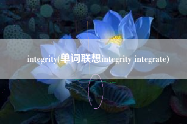 integrity(单词联想integrity integrate)