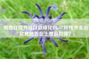 用地红线外可以做绿化吗(“红线外支出”究竟能否在土增前扣除？)