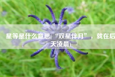 星等是什么意思(“双星伴月”，就在后天凌晨)