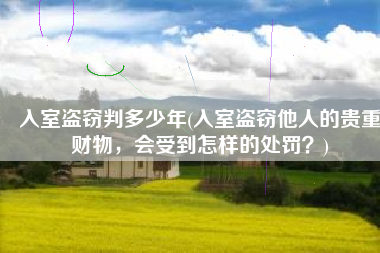 入室盗窃判多少年(入室盗窃他人的贵重财物，会受到怎样的处罚？)