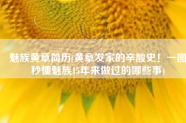 魅族黄章简历(黄章发家的辛酸史！一图秒懂魅族15年来做过的哪些事)