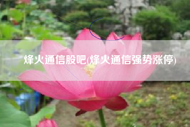烽火通信股吧(烽火通信强势涨停)