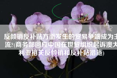 反倾销反补贴方面发生的贸易争端成为主流?(商务部回应中国在世贸组织起诉澳大利亚相关反倾销和反补贴措施)