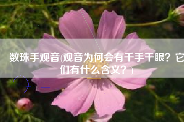 数珠手观音(观音为何会有千手千眼？它们有什么含义？)