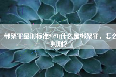 绑架罪量刑标准2021(什么是绑架罪，怎么判刑？)
