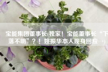 宝能集团董事长(独家！宝能董事长“下落不明”？！姚振华本人现身回应→)